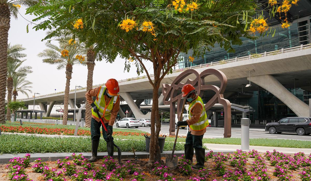 HIA Qatar